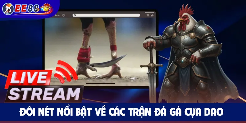 Đôi nét nổi bật về các trận đá gà cựa dao 
